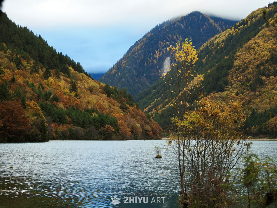 川西九寨/毕棚沟/四姑娘山 28