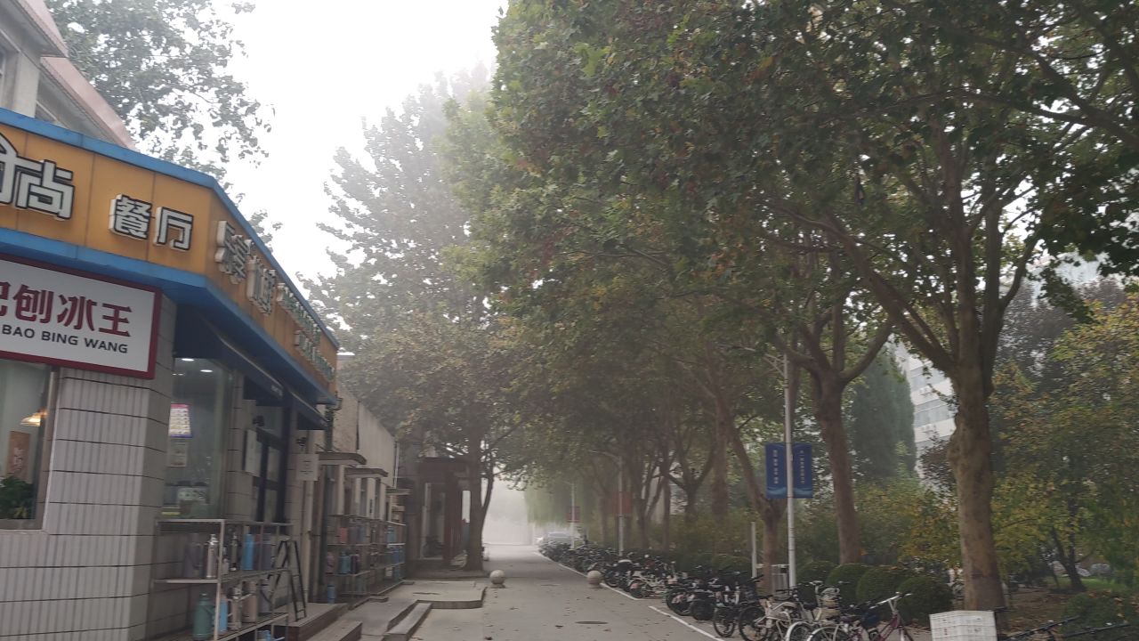 大学 保定 14