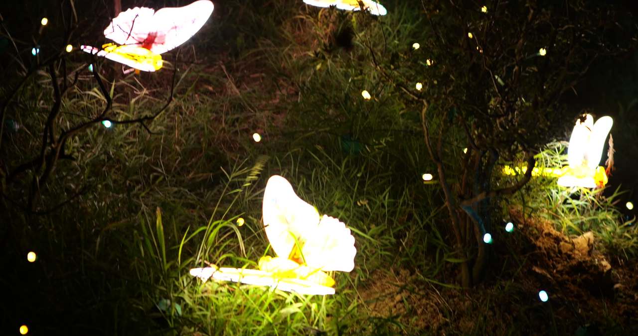 夜色中的梦幻蝴蝶