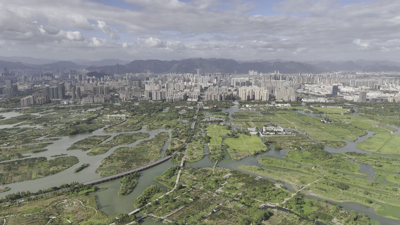 湿地与城市 9