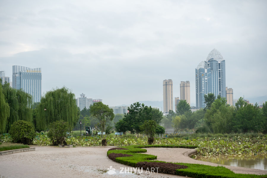 湿地公园 9