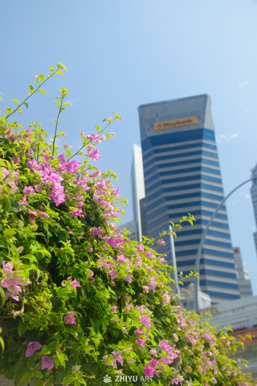 新加坡城市风光