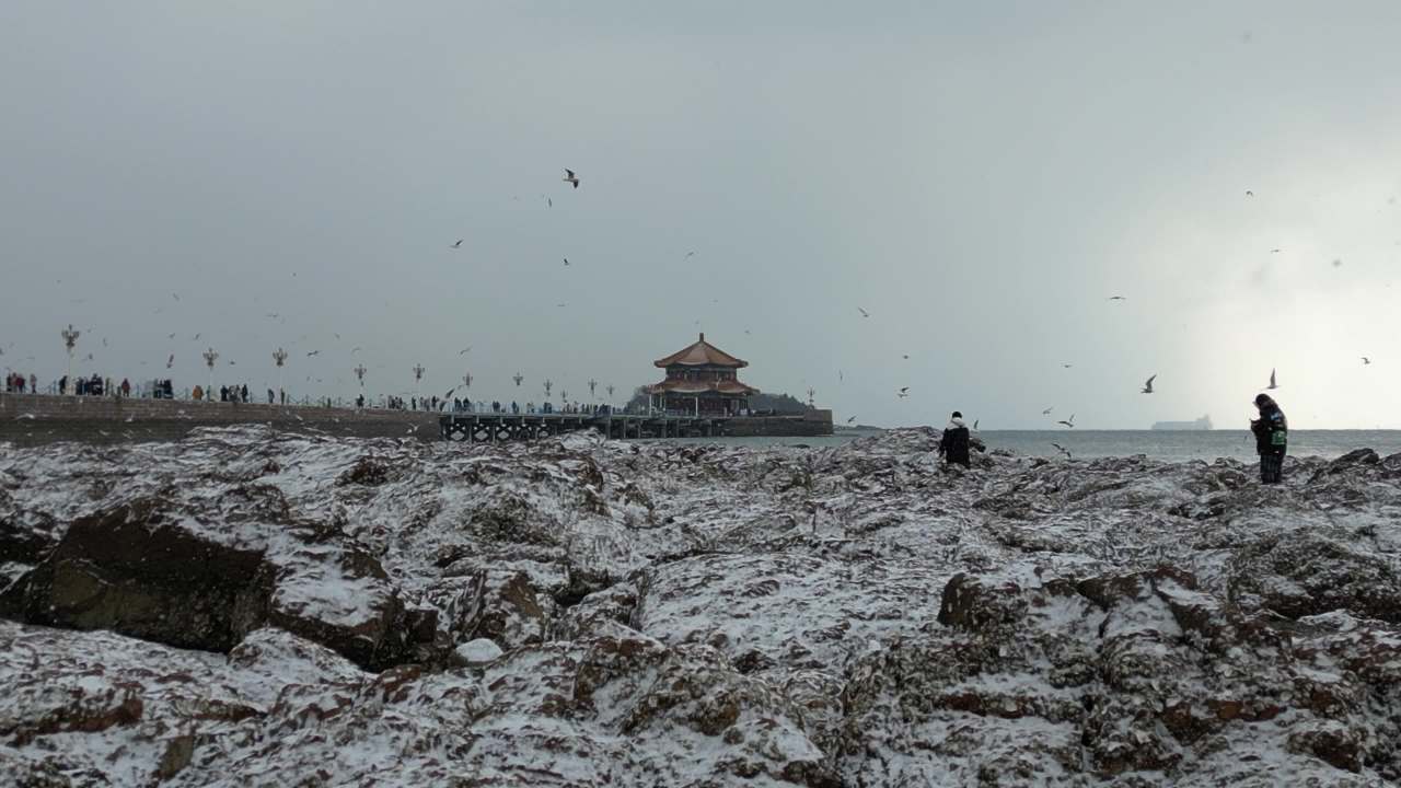 青岛市南老城区栈桥海边雪景航拍 21
