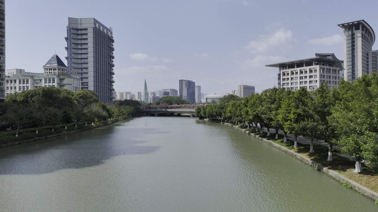 城市河畔的宁静时光