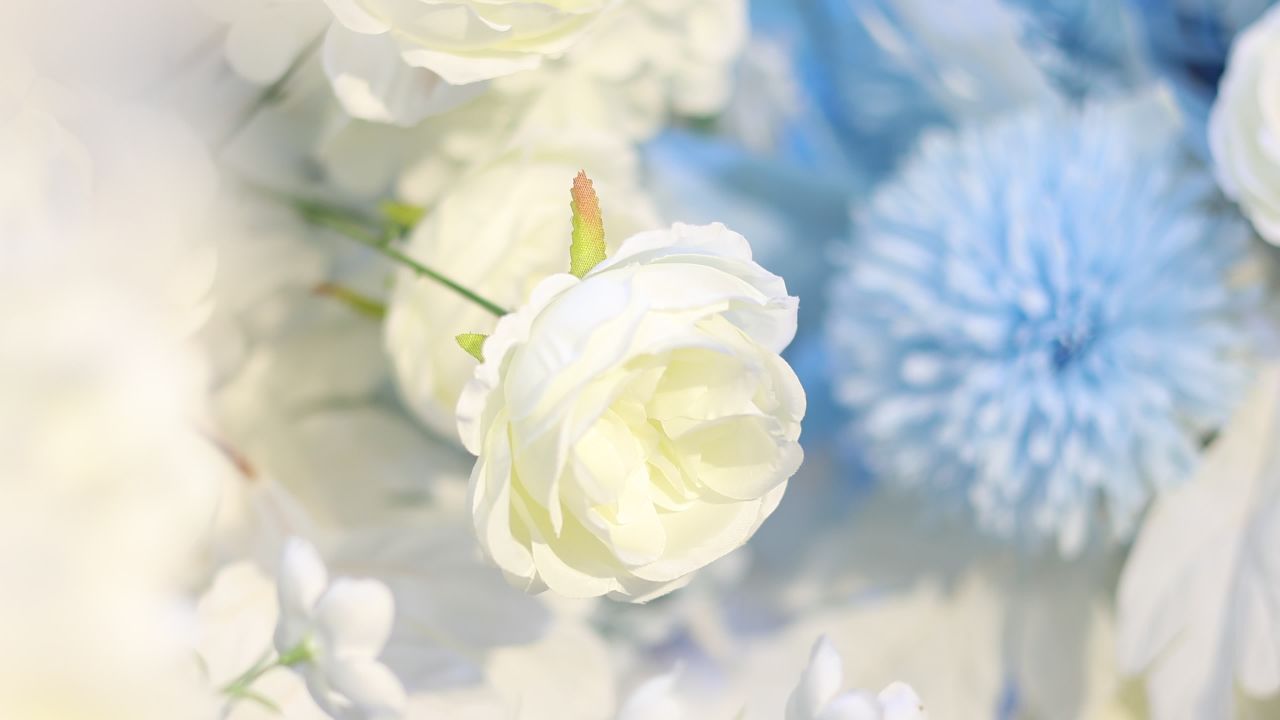 【实拍样片】佳能R7相机实拍原片视频 4