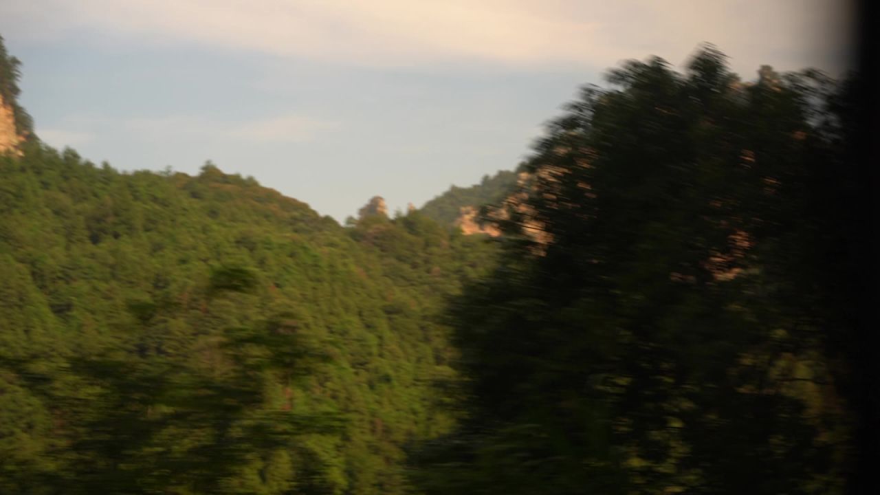 C0060 35
