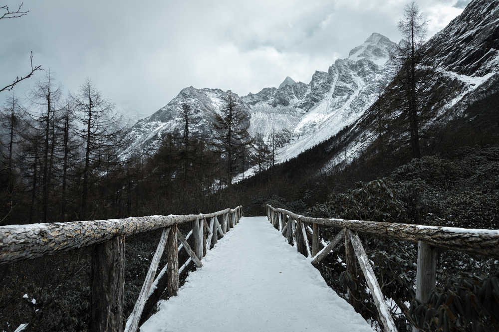 山雪