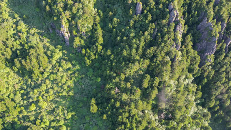 航拍湖北神农架大山石林