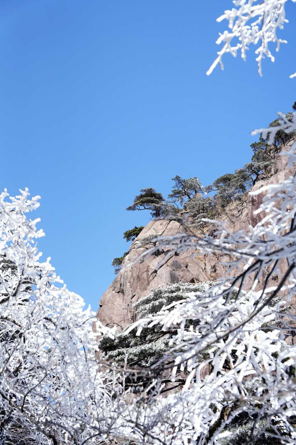 雪落黄山，雾凇云海——山篇