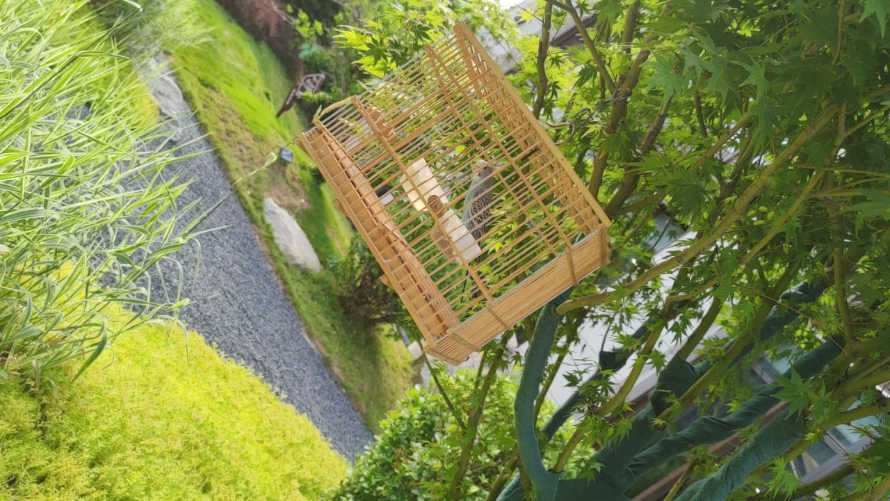 风景