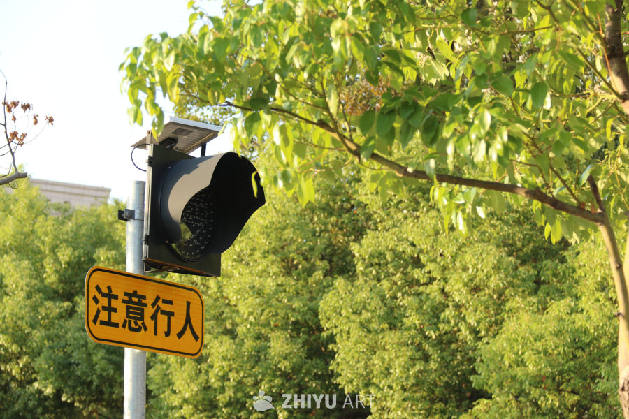 行人提醒信号灯与绿树