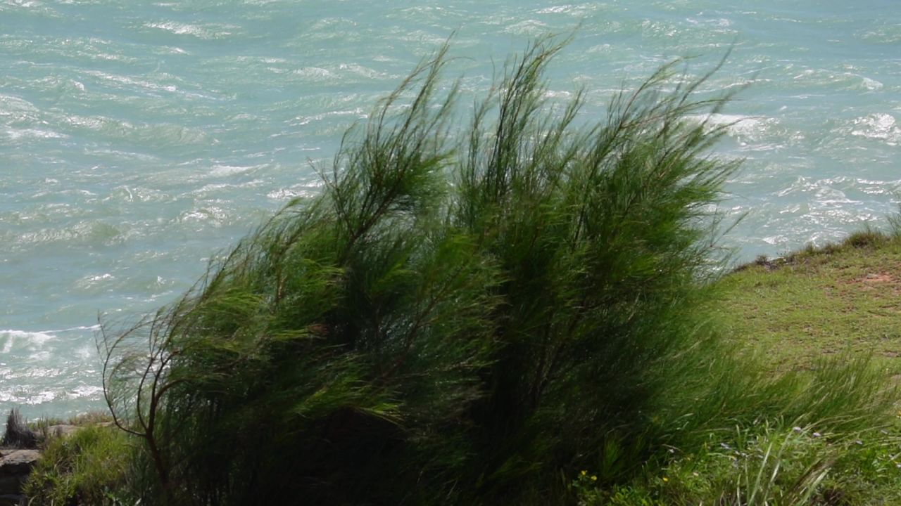 海风吹