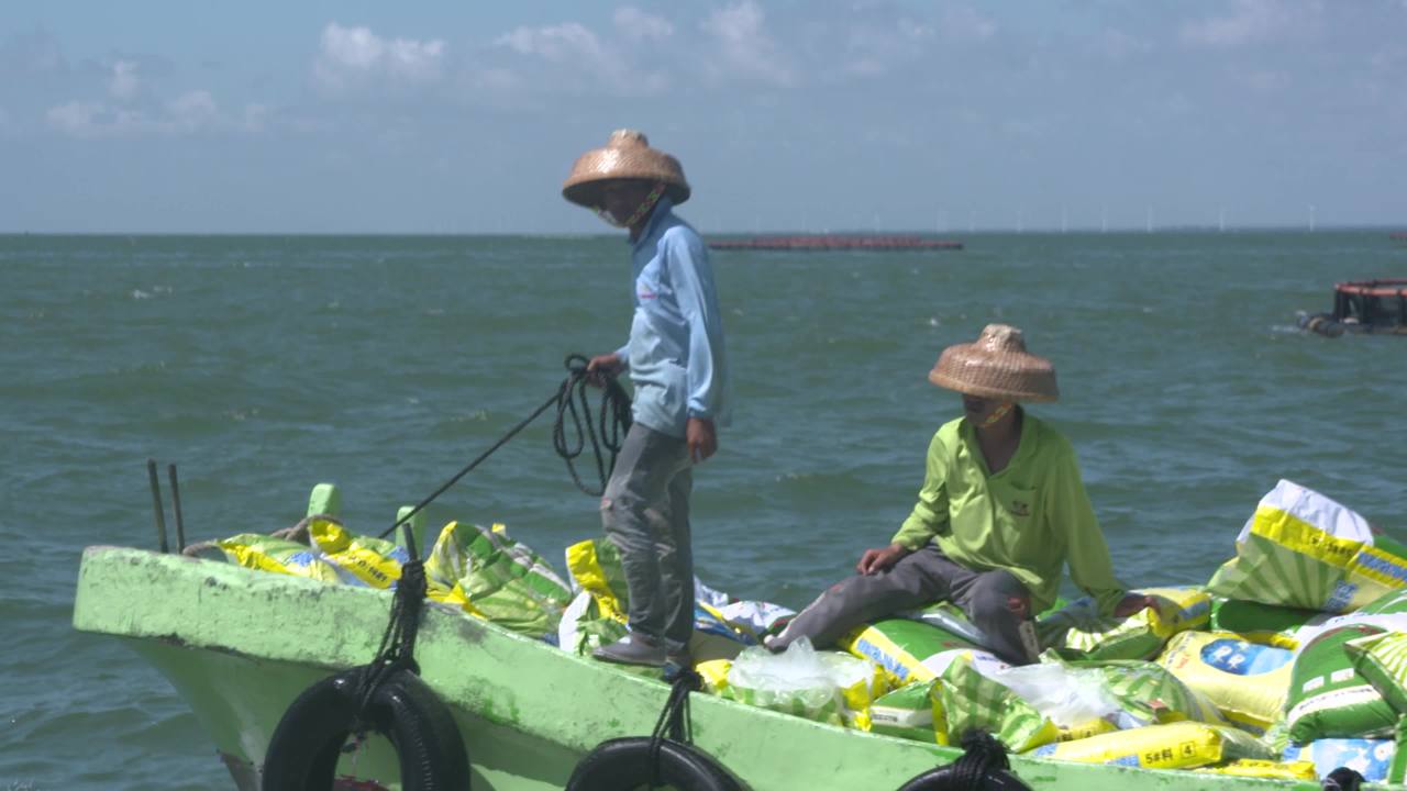 海洋牧场深海养殖