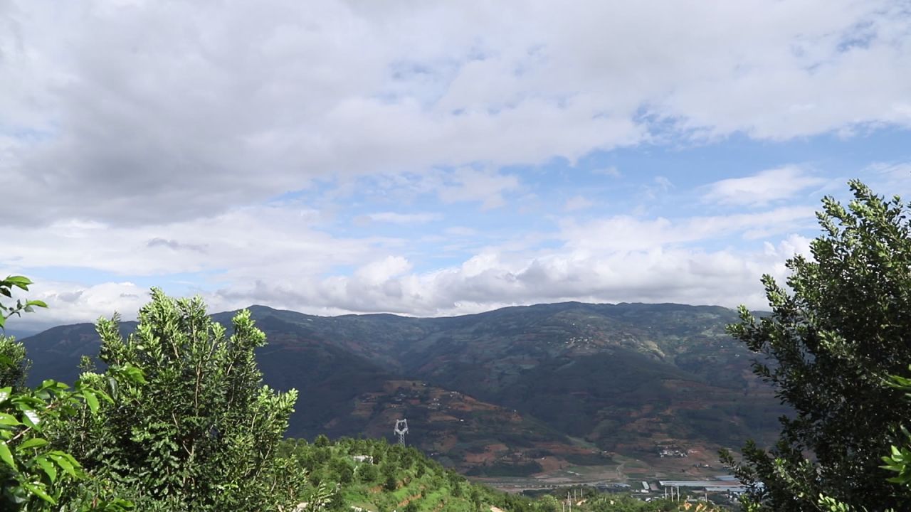 坚果基地 14