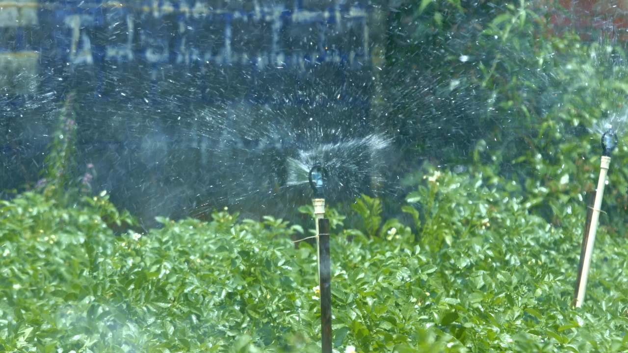 花园自动灌溉