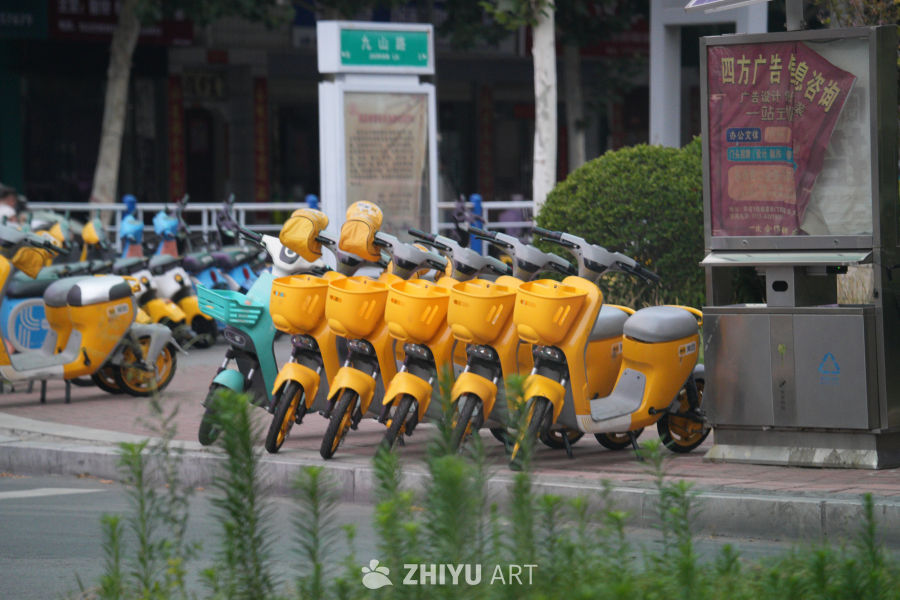 【实拍样片】索尼Alpha 7R V相机实拍照片 1