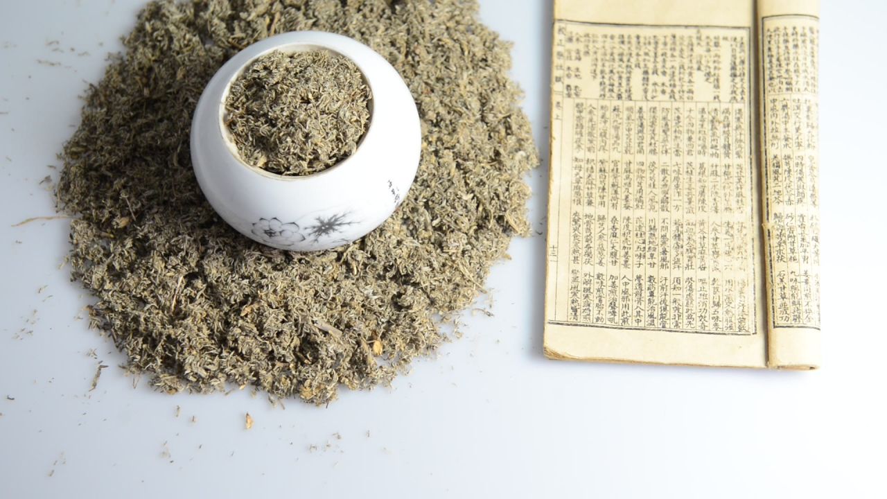 中药材茵陈 3