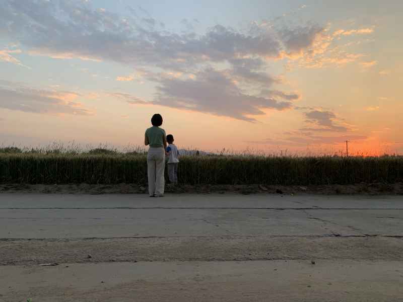 妈妈和孩子欣赏落日与晚霞，田野间、马路旁