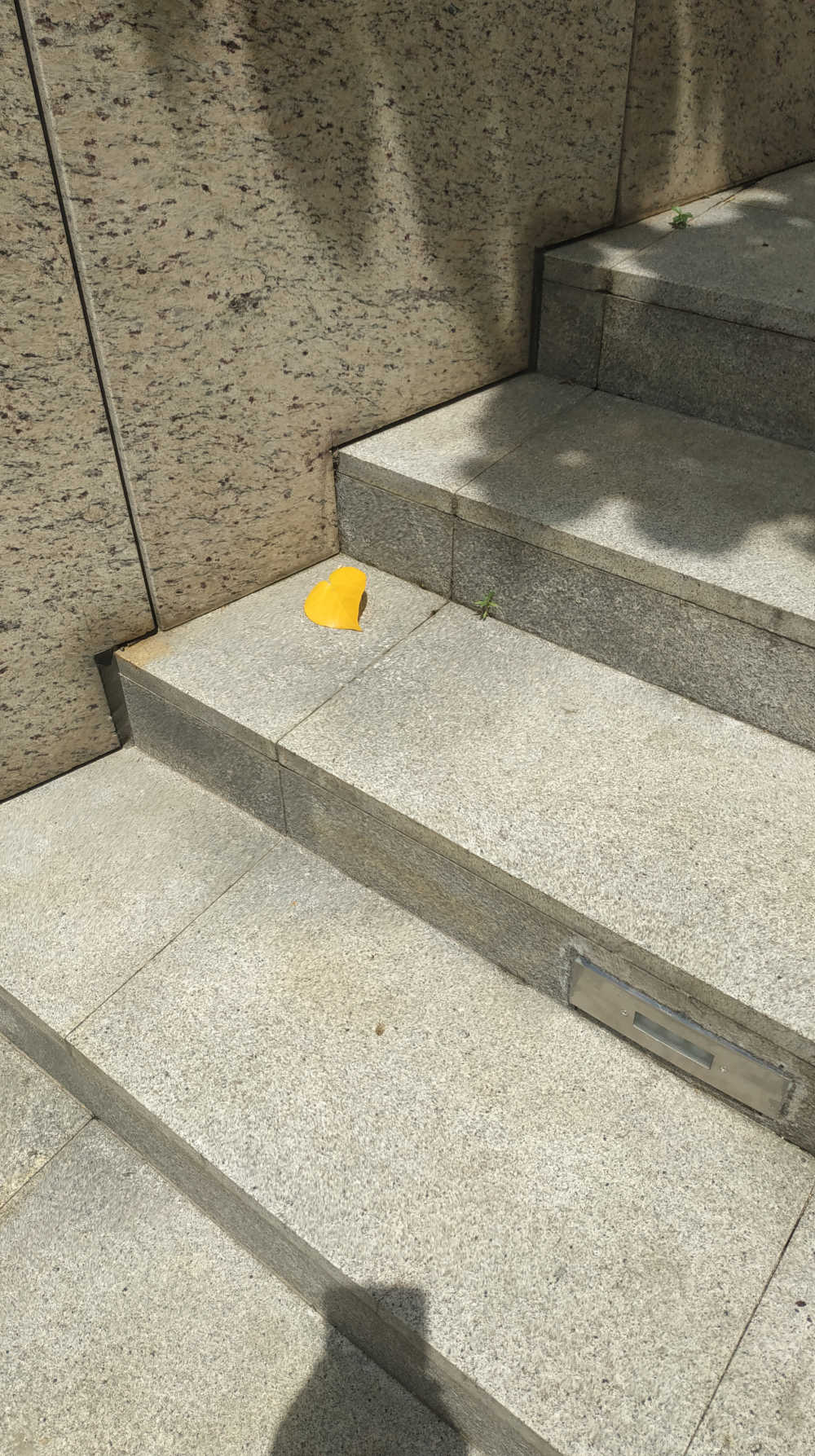 台阶上的一片黄色落叶