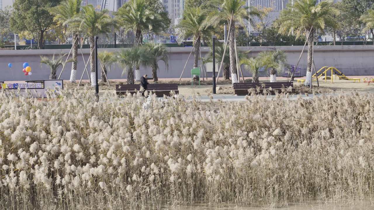 儿童友好运动公园 13