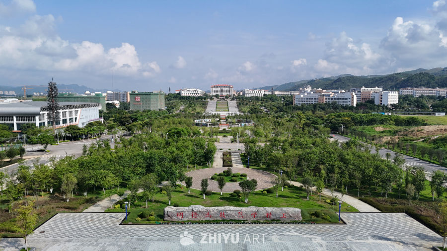 校园绿意盎然的清晨