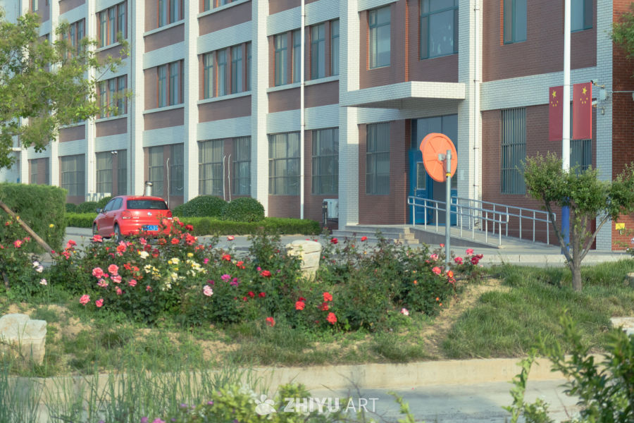 办公楼前的花坛与国旗