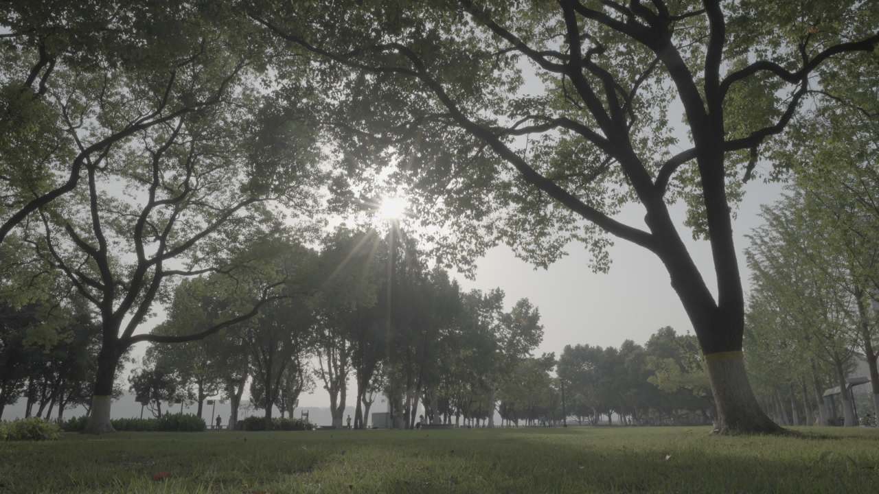 宜昌江边 15