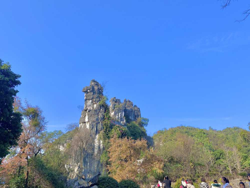 风景