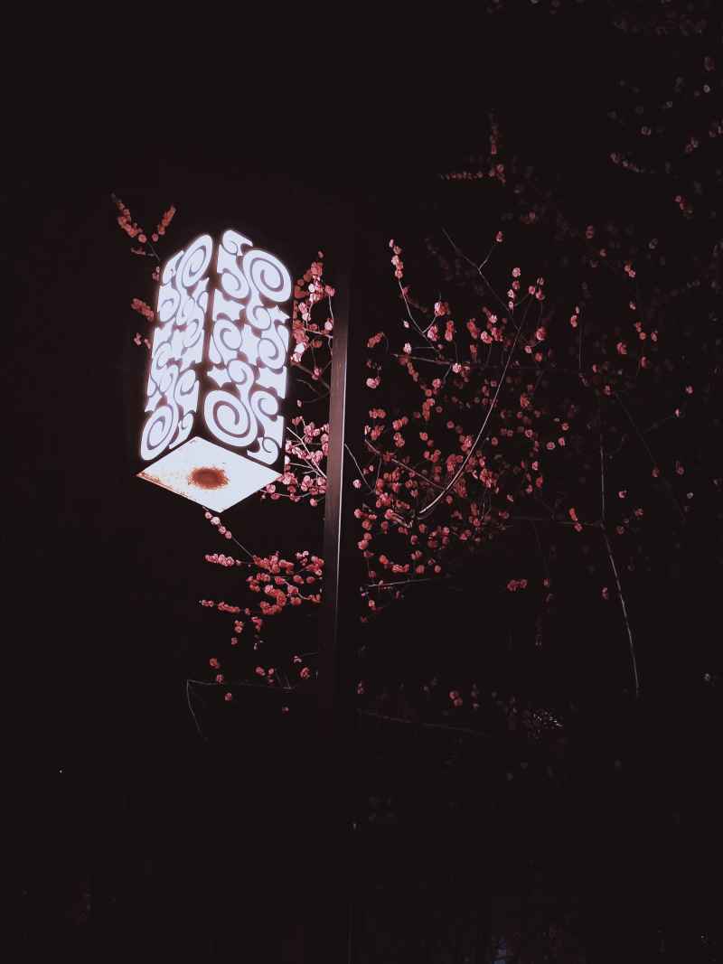 夜晚潮湿，地面潮湿，空气寂静，树林沉默