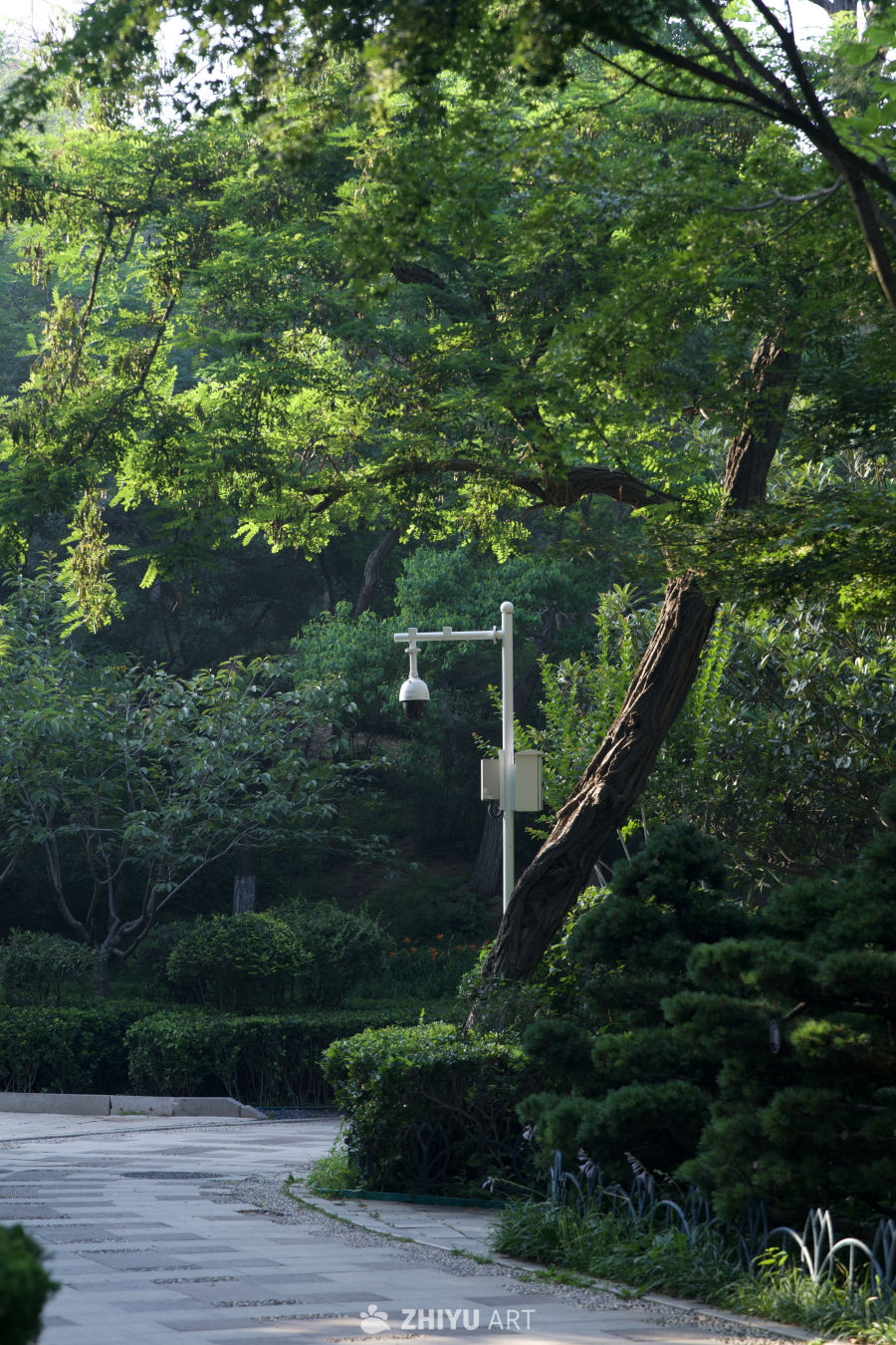 植物园路口