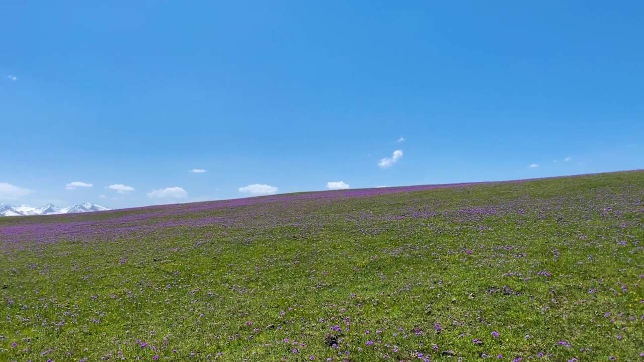 草原森林山脉自然风光