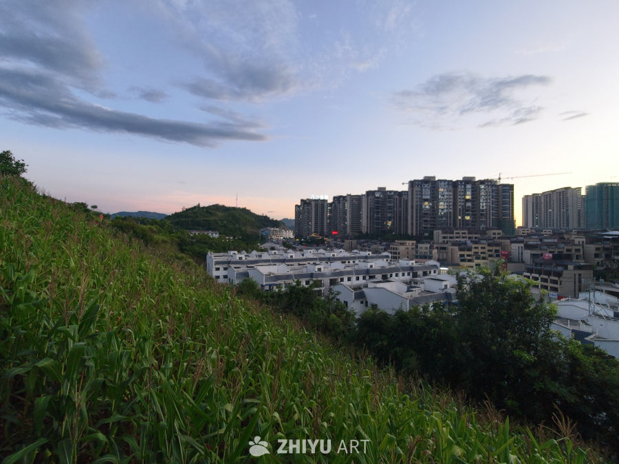 城市