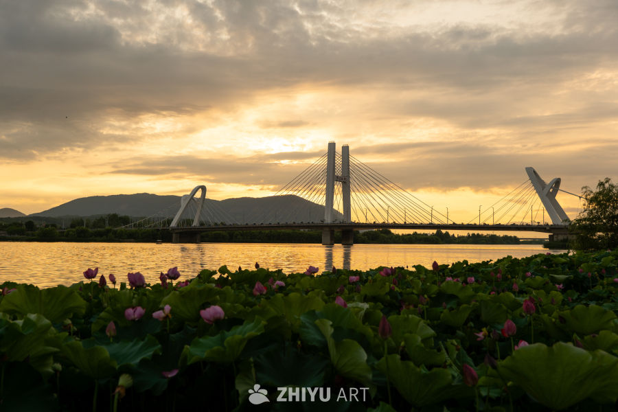夕阳下的大桥 4
