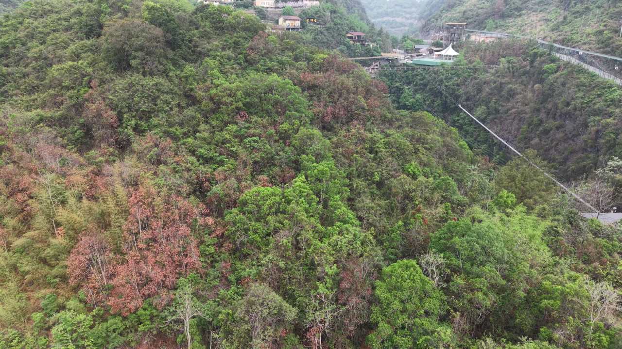 河池 5