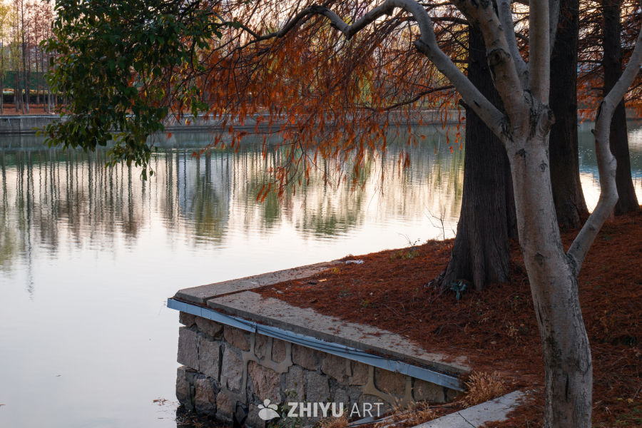 秋日湖畔静谧时光