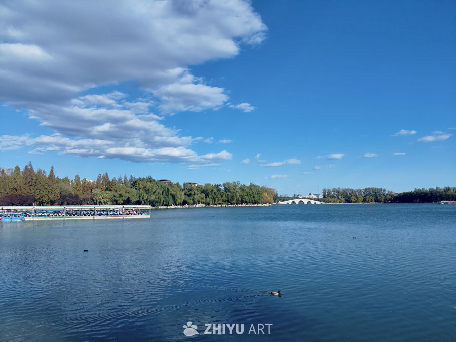 蓝天白云碧水下城市湖景特写