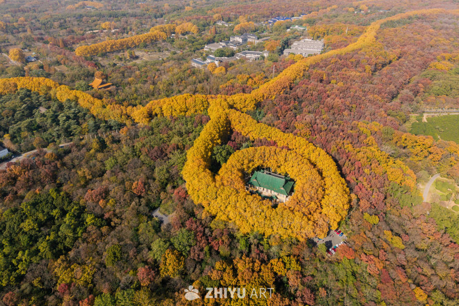 南京明孝陵美龄宫