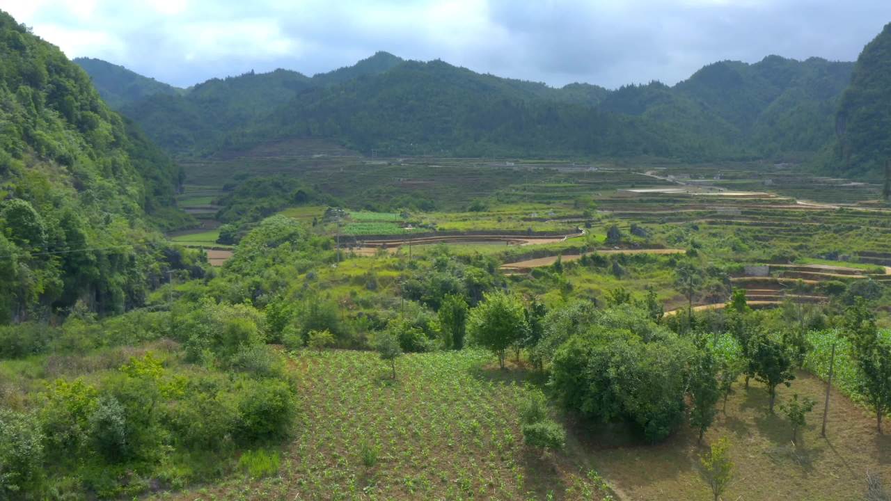 山谷梯田的宁静之美