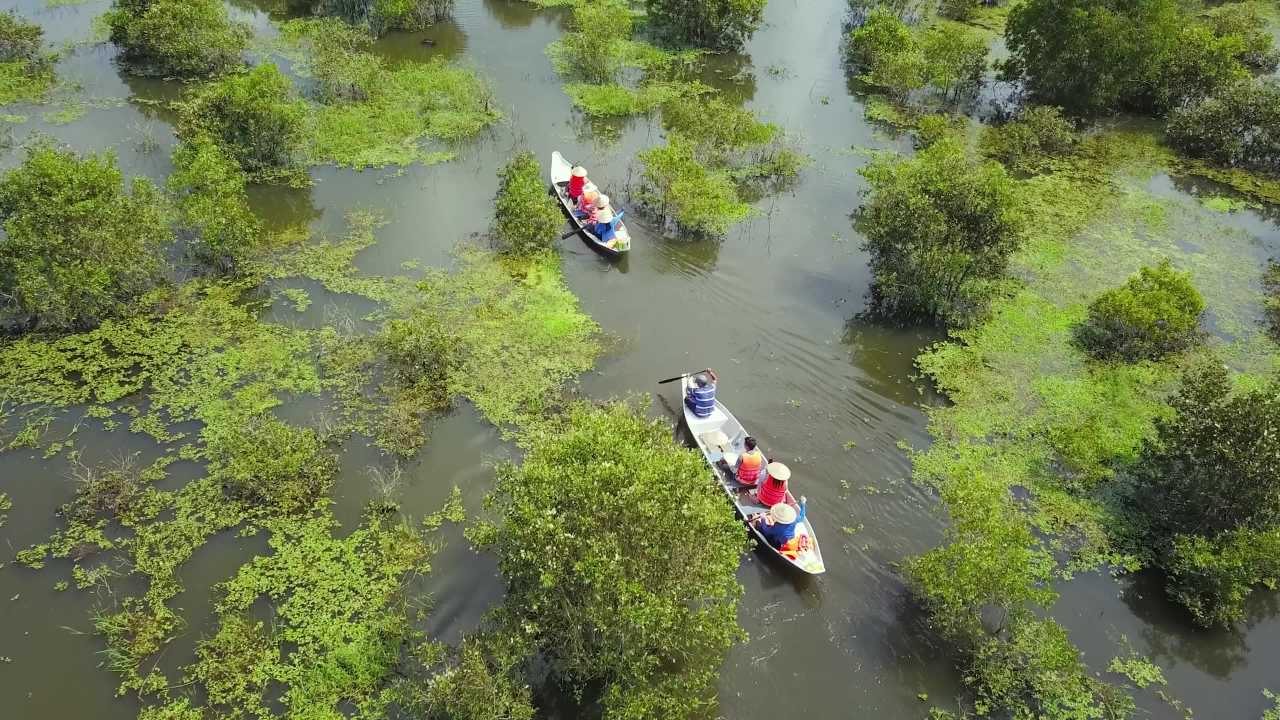 湿地探险之旅