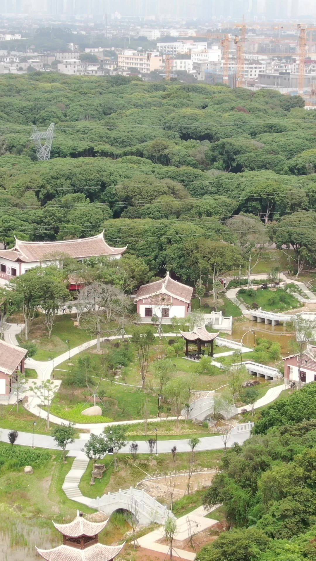 航拍福建莆田城市风光竖屏