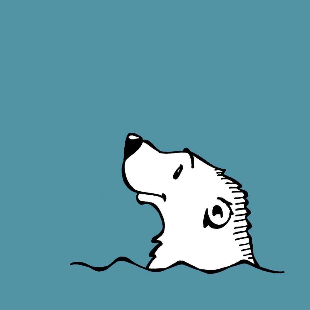 北极熊水海北极蓝色游泳蓝色的水蓝色的大海蓝色的海洋