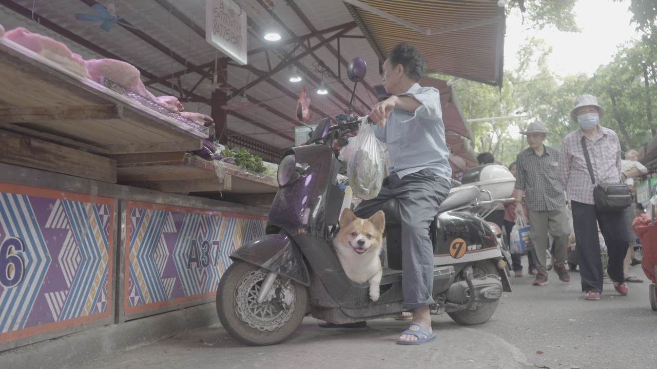 赶早 36