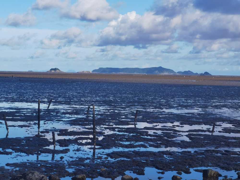 海边滩涂