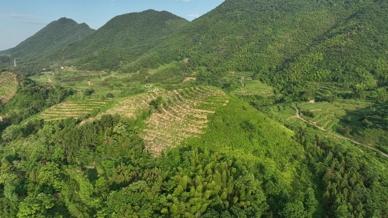 农村 6