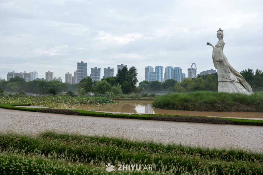 湿地公园 7