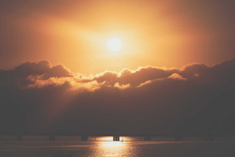 大海赴约