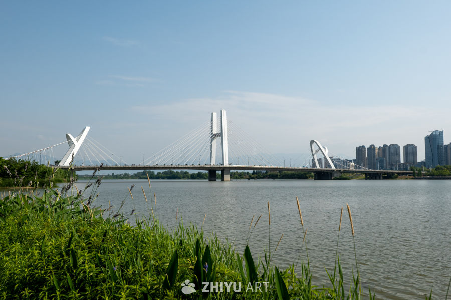 湿地公园一角 8