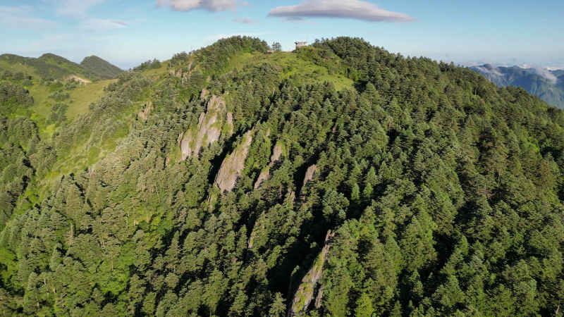 航拍湖北神农架大山石林