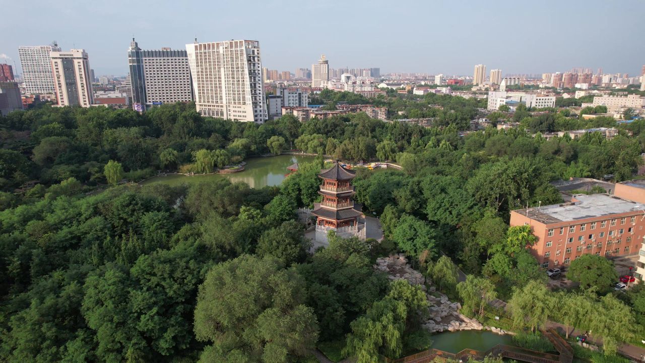 山东淄博人民公园航拍 