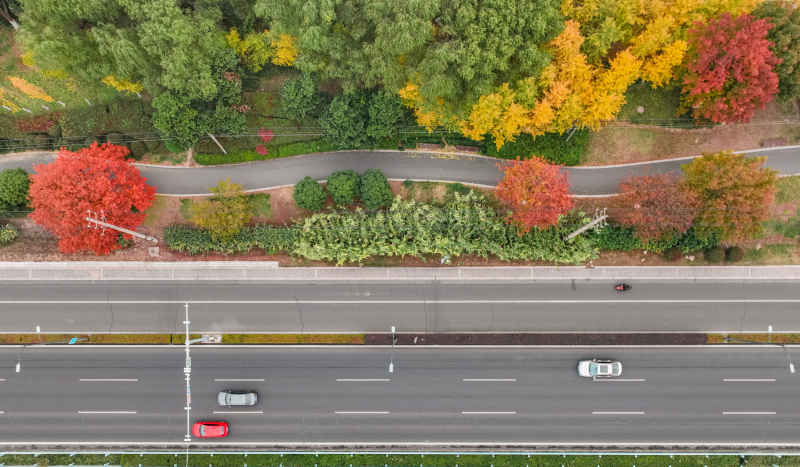 昆山道路上的秋冬景色 10